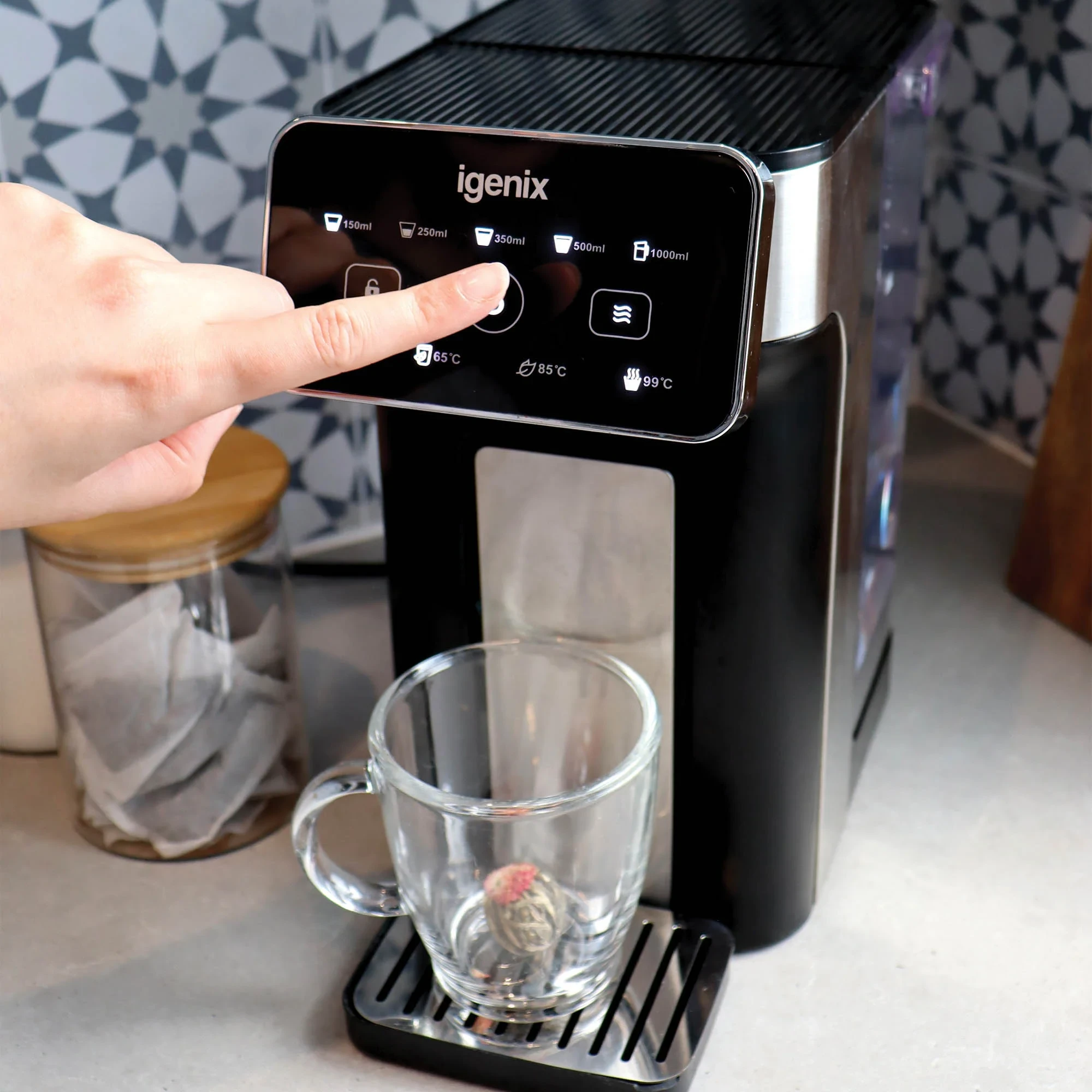 International Visitor Ticket